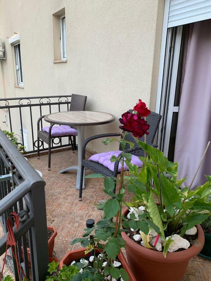 Apartmani Krgušić Tivat Bagian luar foto